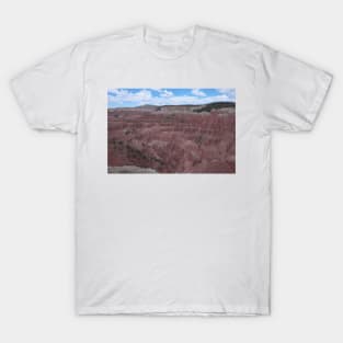 850_6940 T-Shirt